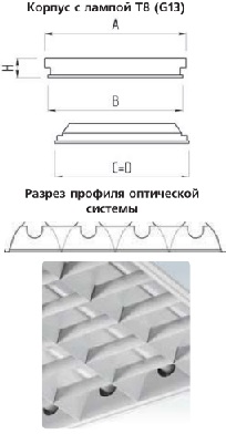 �������. �����